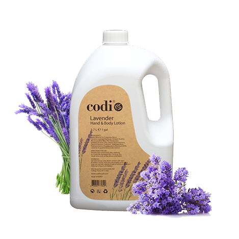 Codi Lotion - Gallon (9 Scents)